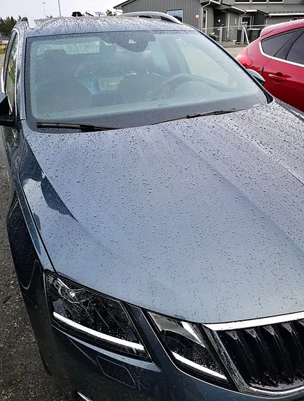 Skoda Octavia 2019 photo 4