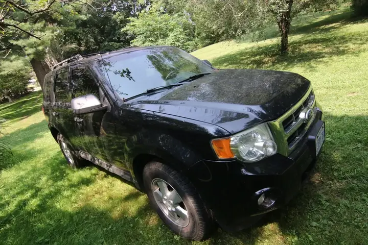 Ford Escape 2010 photo 3