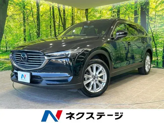 Mitsubishi Cx-8