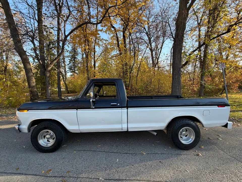 Ford F-100 1979 photo 2