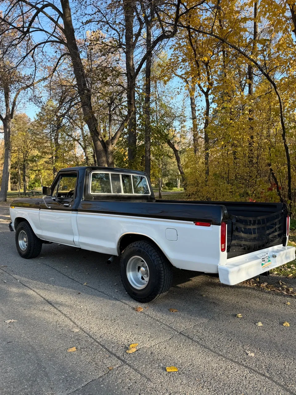 Ford F-100 1979 photo 3