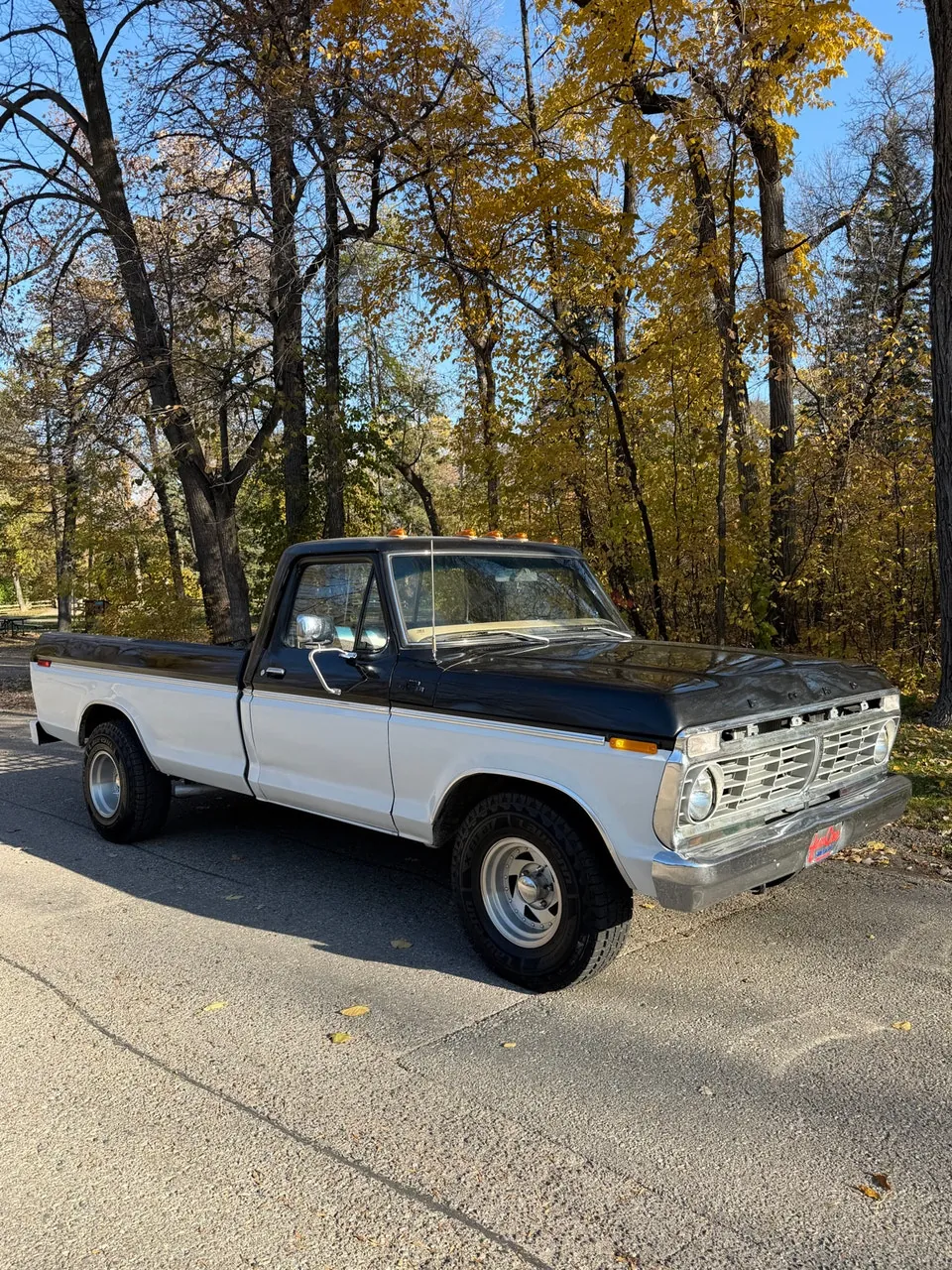 Ford F-100 1979 photo 4