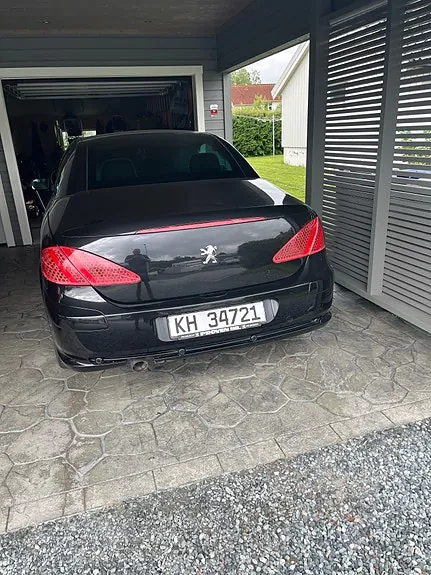 Peugeot 307 2005 photo 5