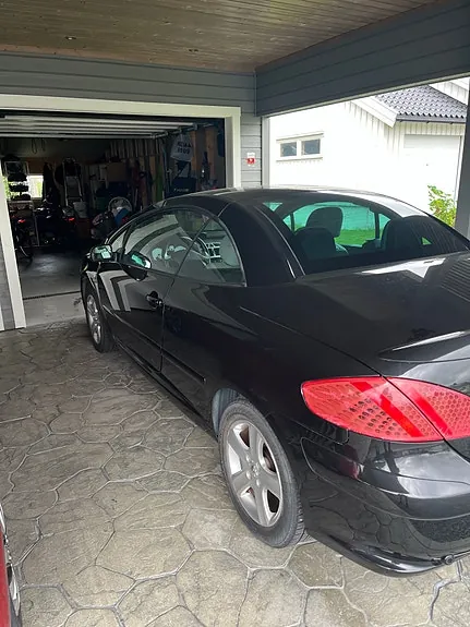 Peugeot 307 2005 photo 4