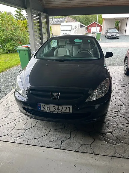 Peugeot 307 2005 photo 3