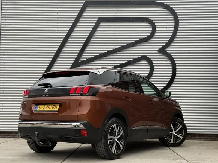 Peugeot 3008 2019 photo 3