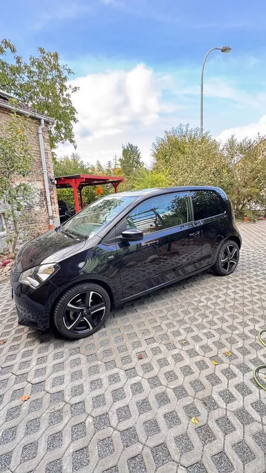 Seat Mii