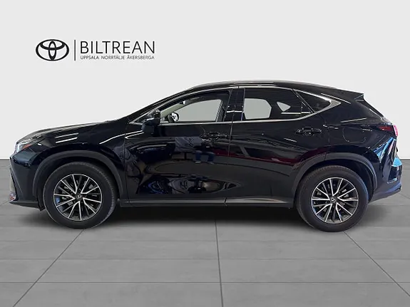 Lexus Nx 2024 photo 3