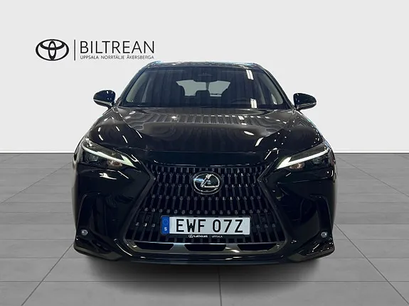 Lexus Nx 2024 photo 2