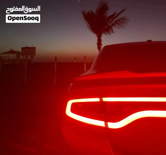 Dodge Charger 2022 photo 5