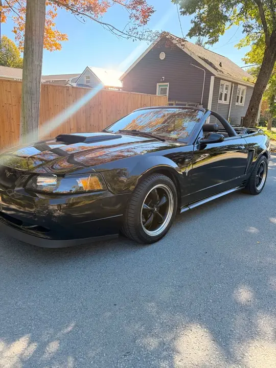 Ford Mustang 2002 photo 3