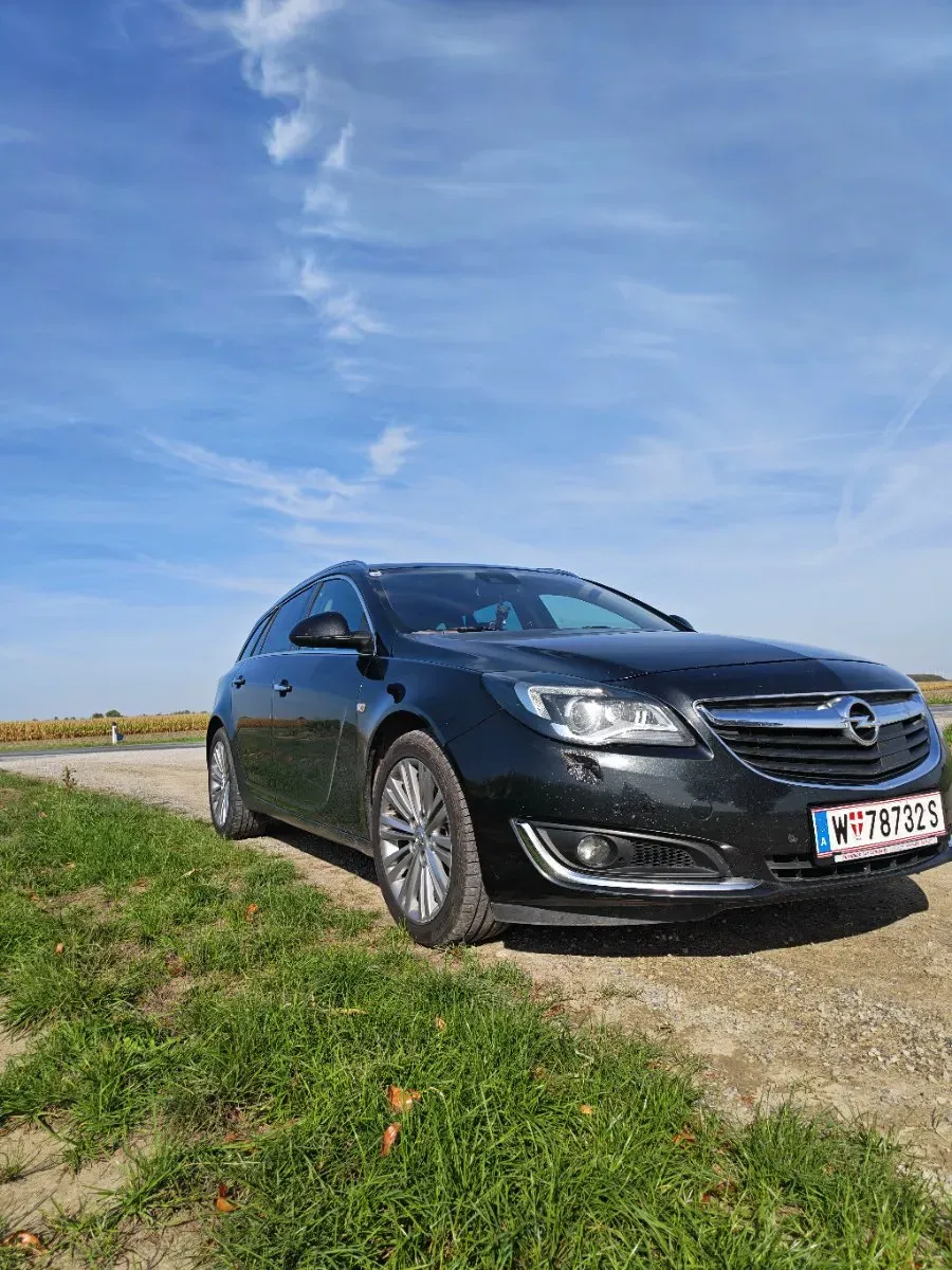 Opel Insignia 2014 photo 2