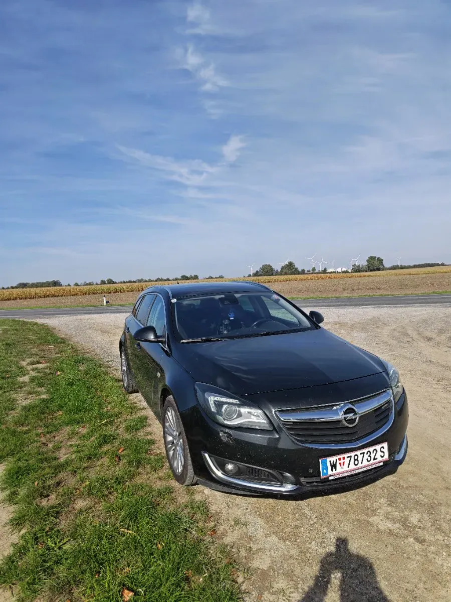 Opel Insignia 2014 photo 3