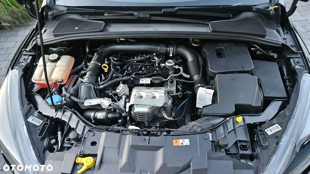 Ford Focus 2015 photo 2