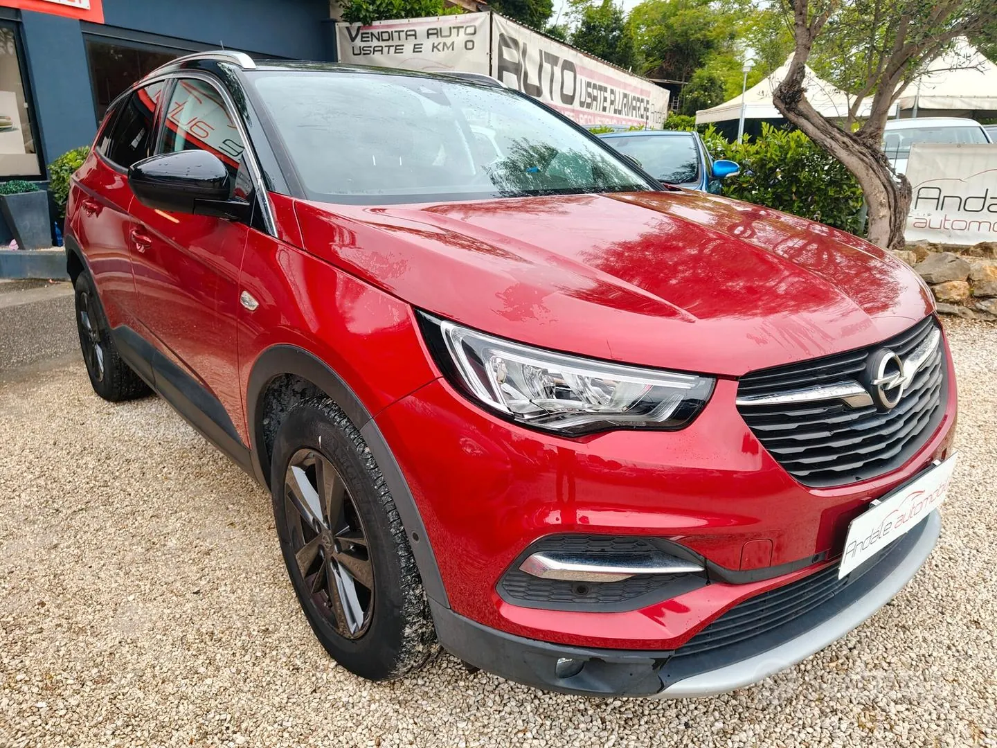 Opel Grandland X 2021 photo 4