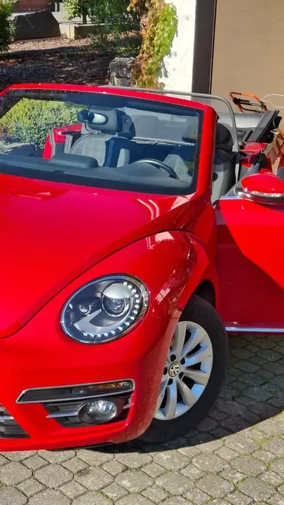 Volkswagen Beetle