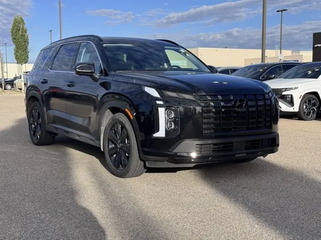 Hyundai Palisade 2024 photo 4