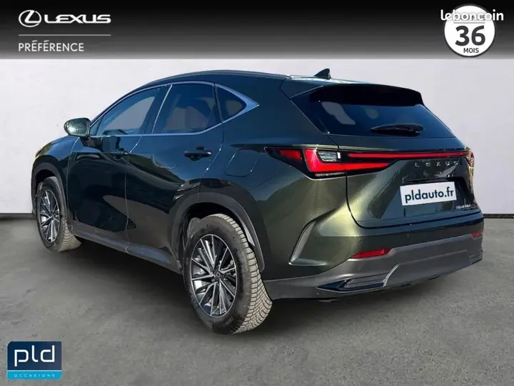 Lexus Nx 2024 photo 5