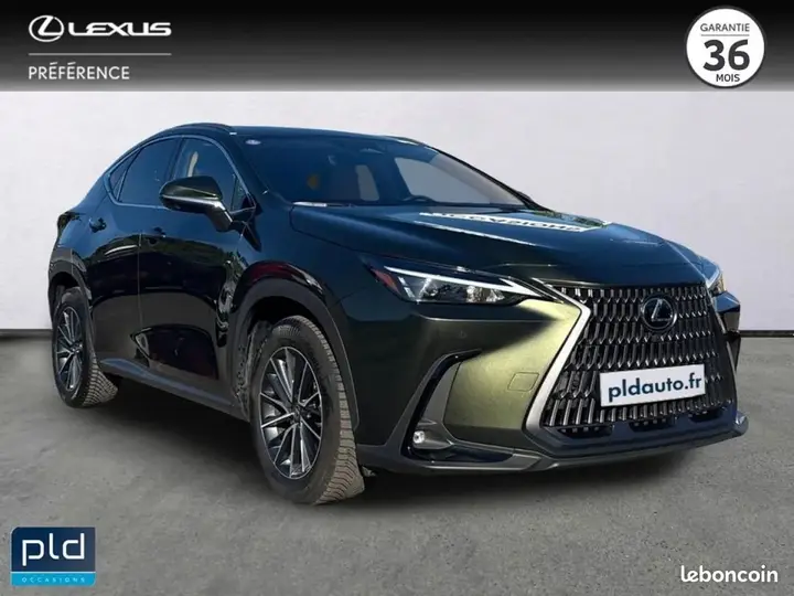 Lexus Nx 2024 photo 2