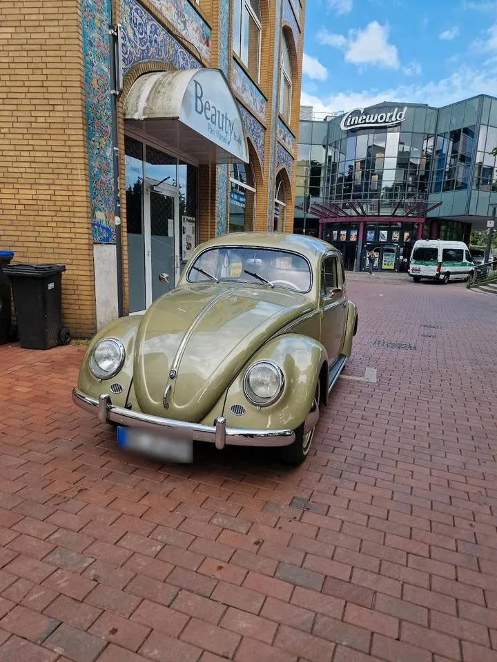 Volkswagen Käfer Ovali