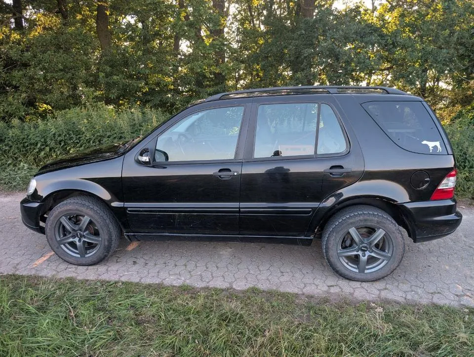 Mercedes-Benz Ml270