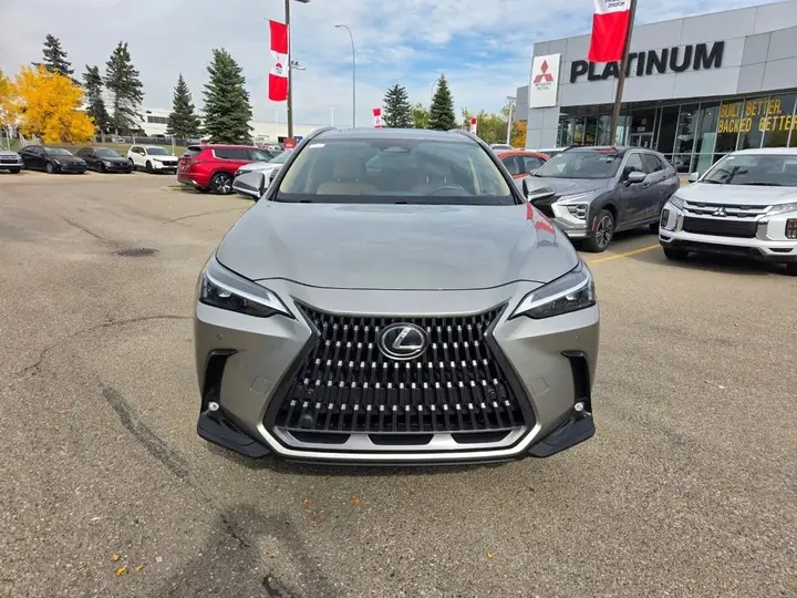 Lexus Nx 2024 photo 2