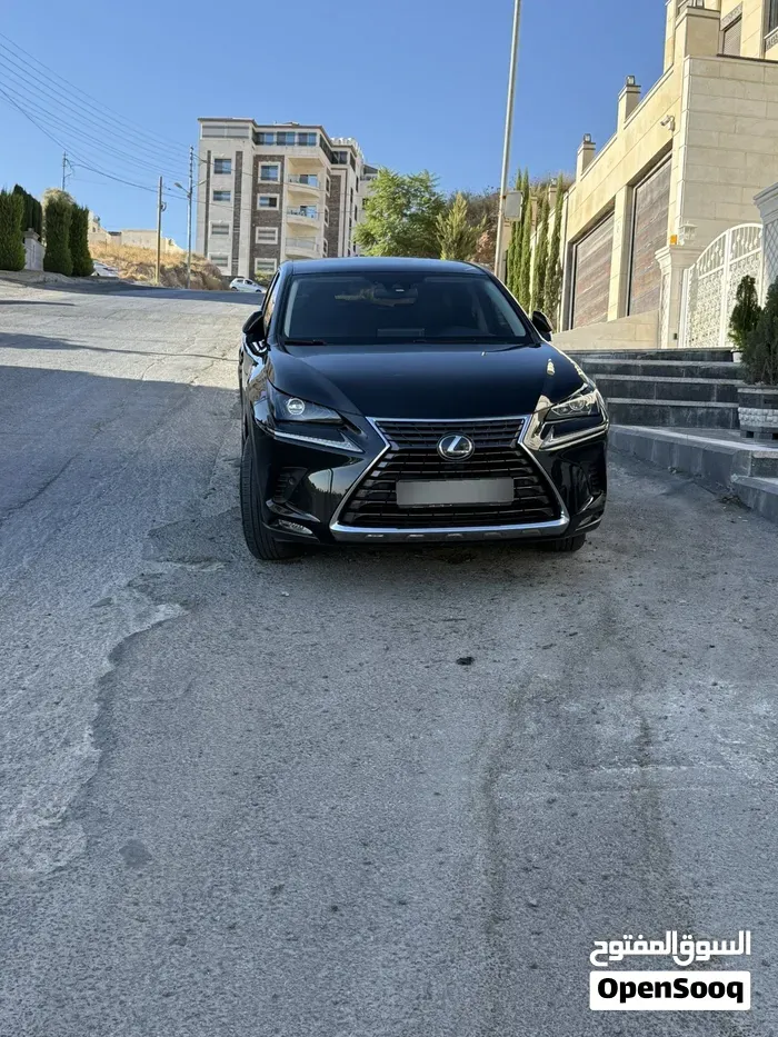 Lexus Nx 2019 photo 5