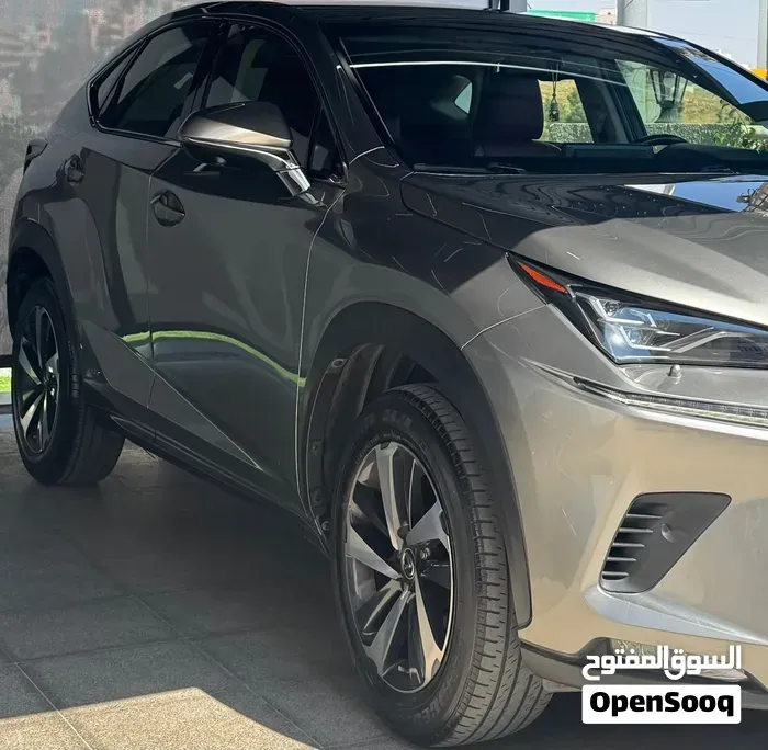 Lexus Nx 2019 photo 3