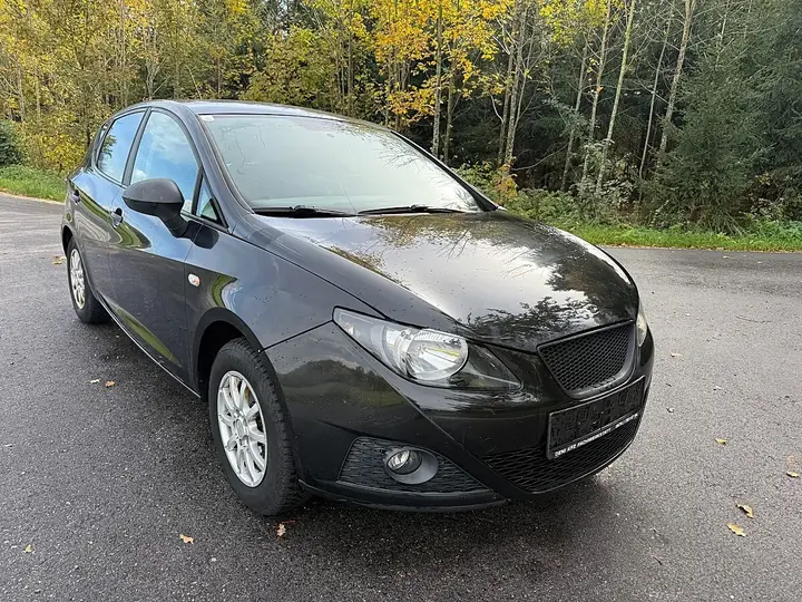 Seat Ibiza 2010 photo 2