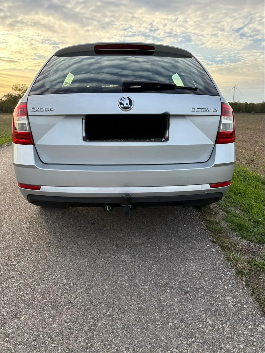 Skoda Octavia 2020 photo 3
