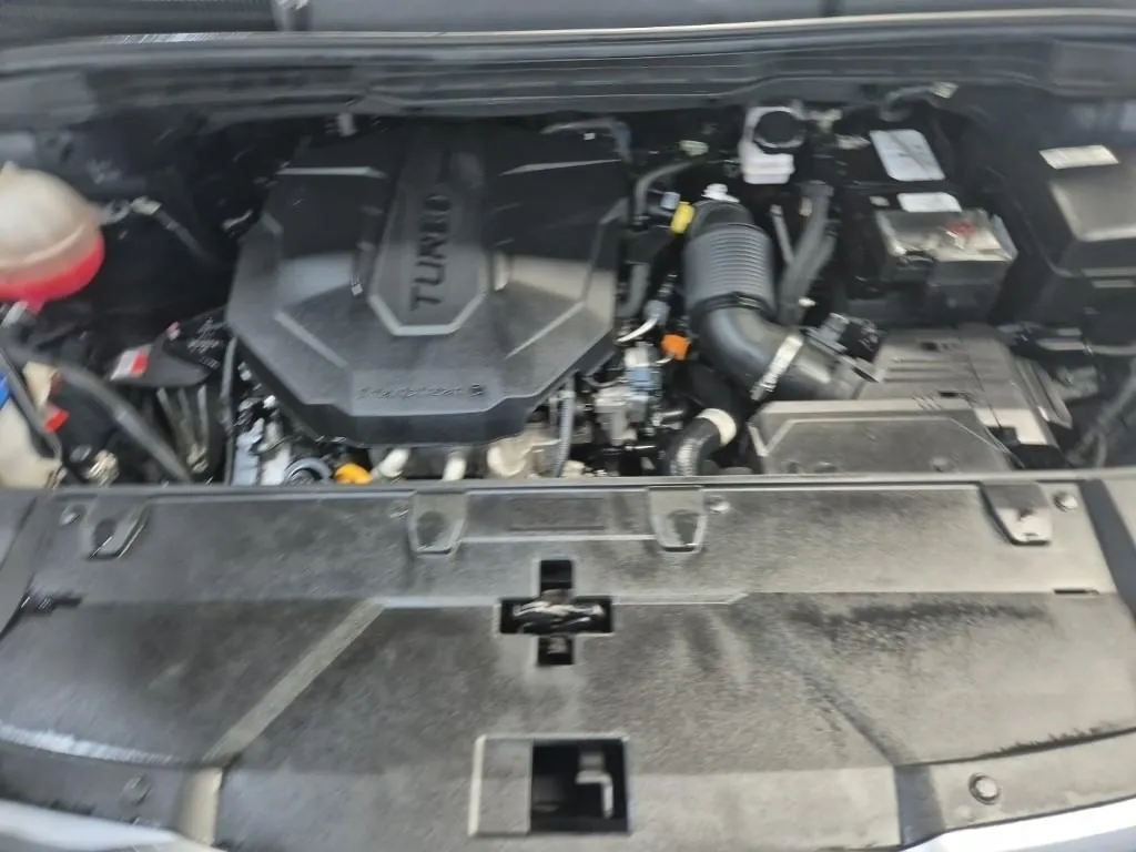 Kia Kanica 2021 photo 5