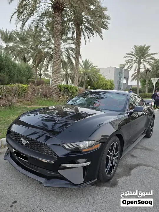 Ford Mustang 2021 photo 4