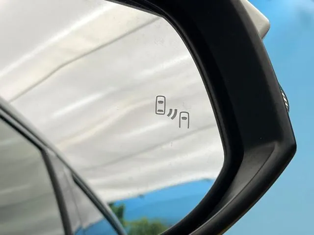 Toyota Hari 2020 photo 5