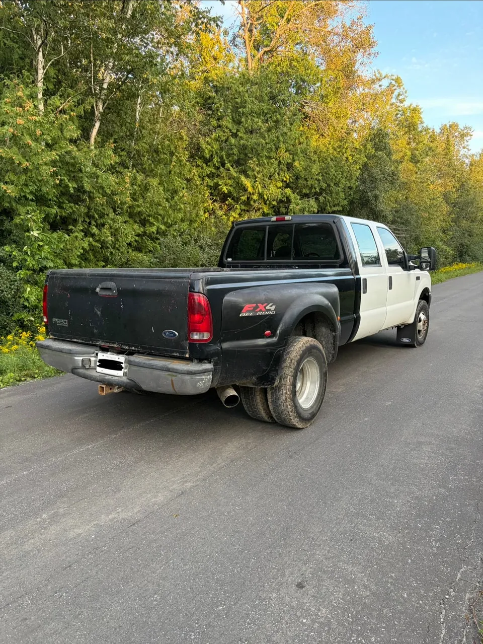 Ford F350 2001 photo 3