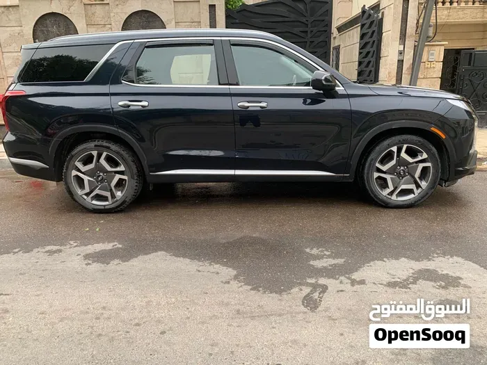 Hyundai Palisade 2023 photo 4