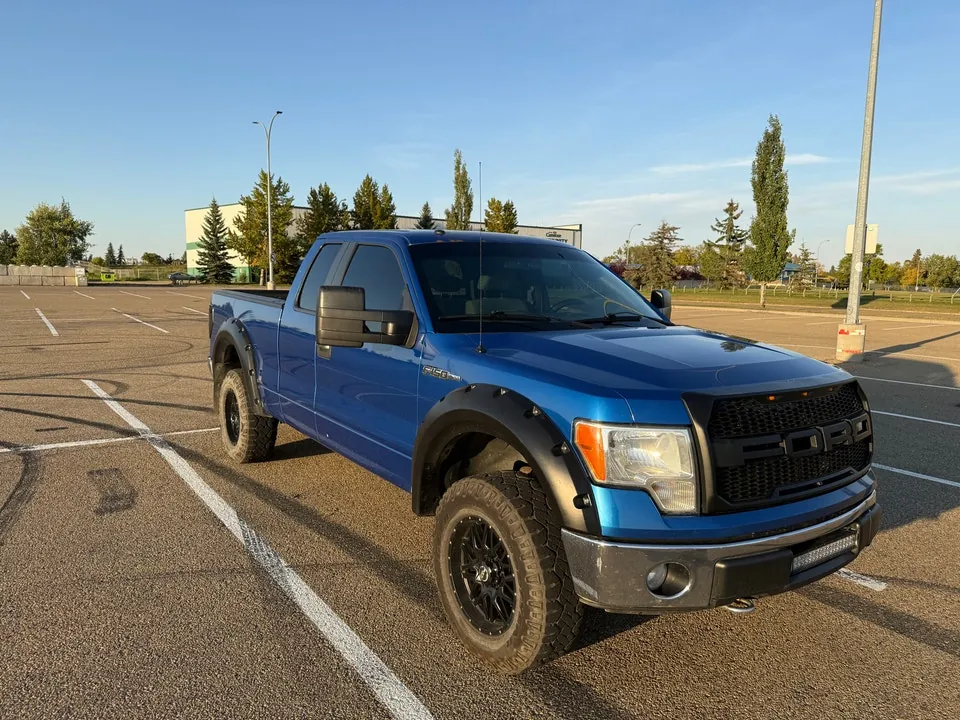 Ford F-150 2009 photo 3