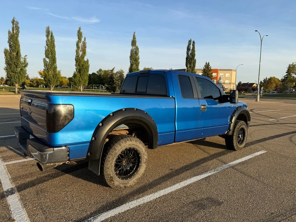 Ford F-150 2009 photo 4