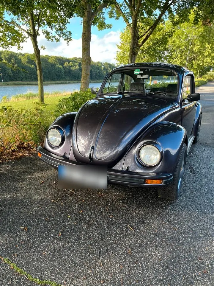 Volkswagen Käfer