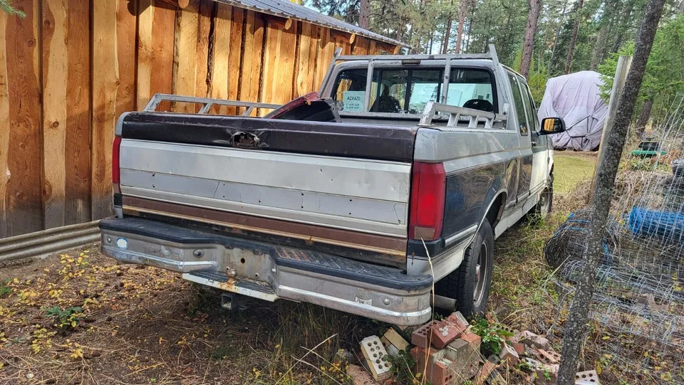 Ford F-150 1992 photo 3