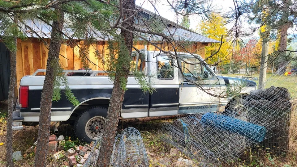 Ford F-150 1992 photo 2