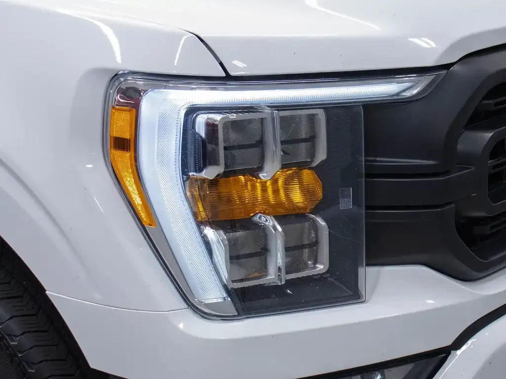 Ford F-150 2021 photo 3