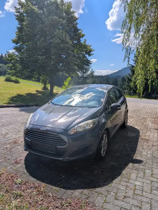 Ford Fiesta 2013 photo 2