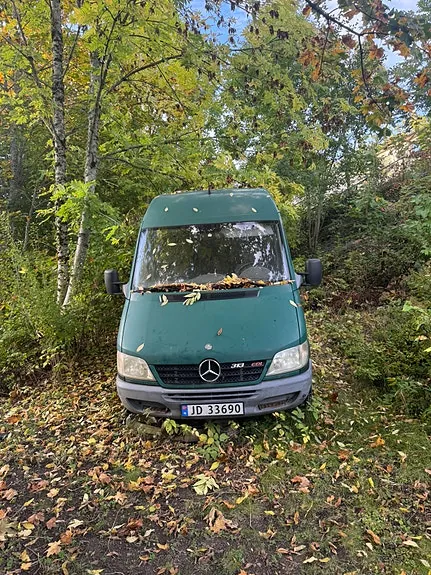 Mercedes-Benz Sprinter 313