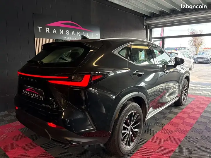 Lexus Nx 2023 photo 3