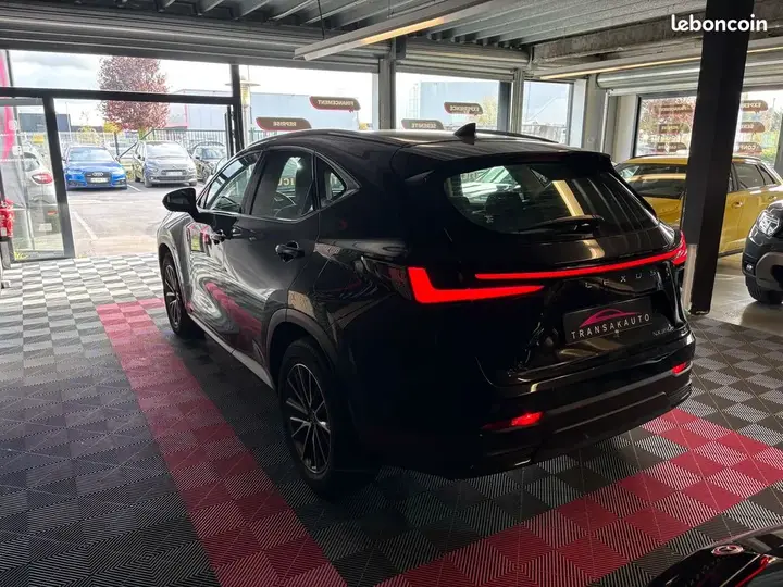 Lexus Nx 2023 photo 5
