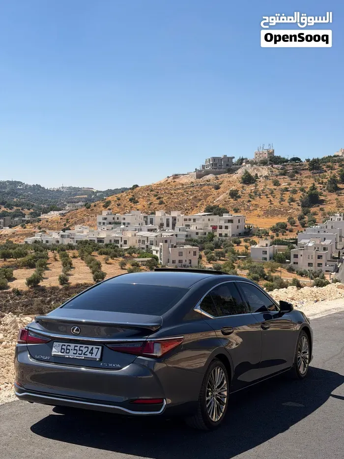 Lexus Es 300 2023 photo 3