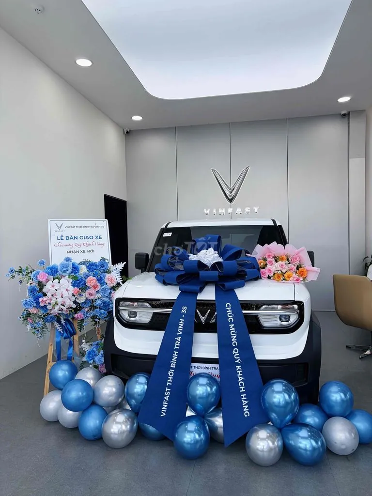 Vinfast Vf3