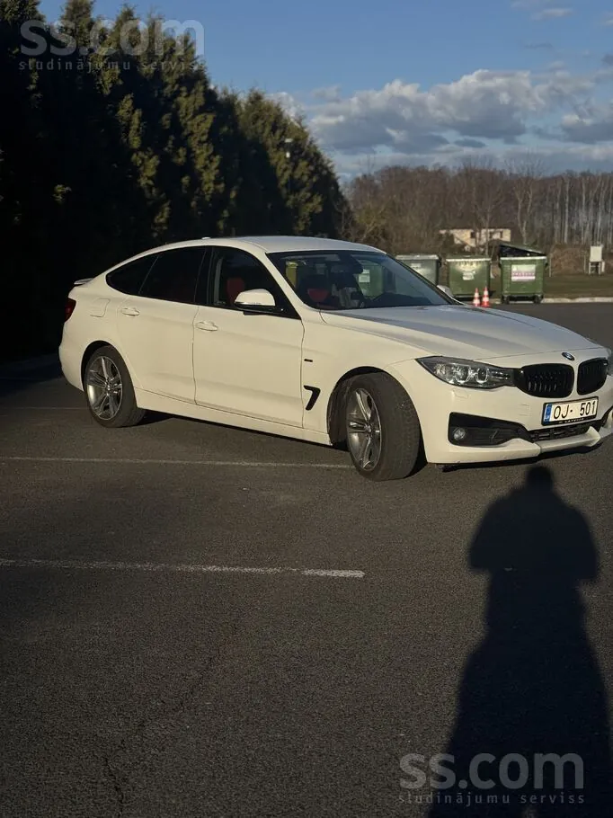 BMW 318 2013 photo 3
