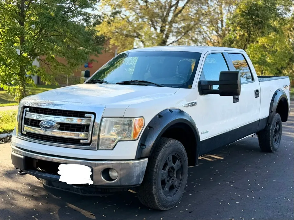 Ford F-150 2014 photo 3