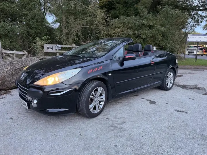 Peugeot 307 Cc 2008 photo 2